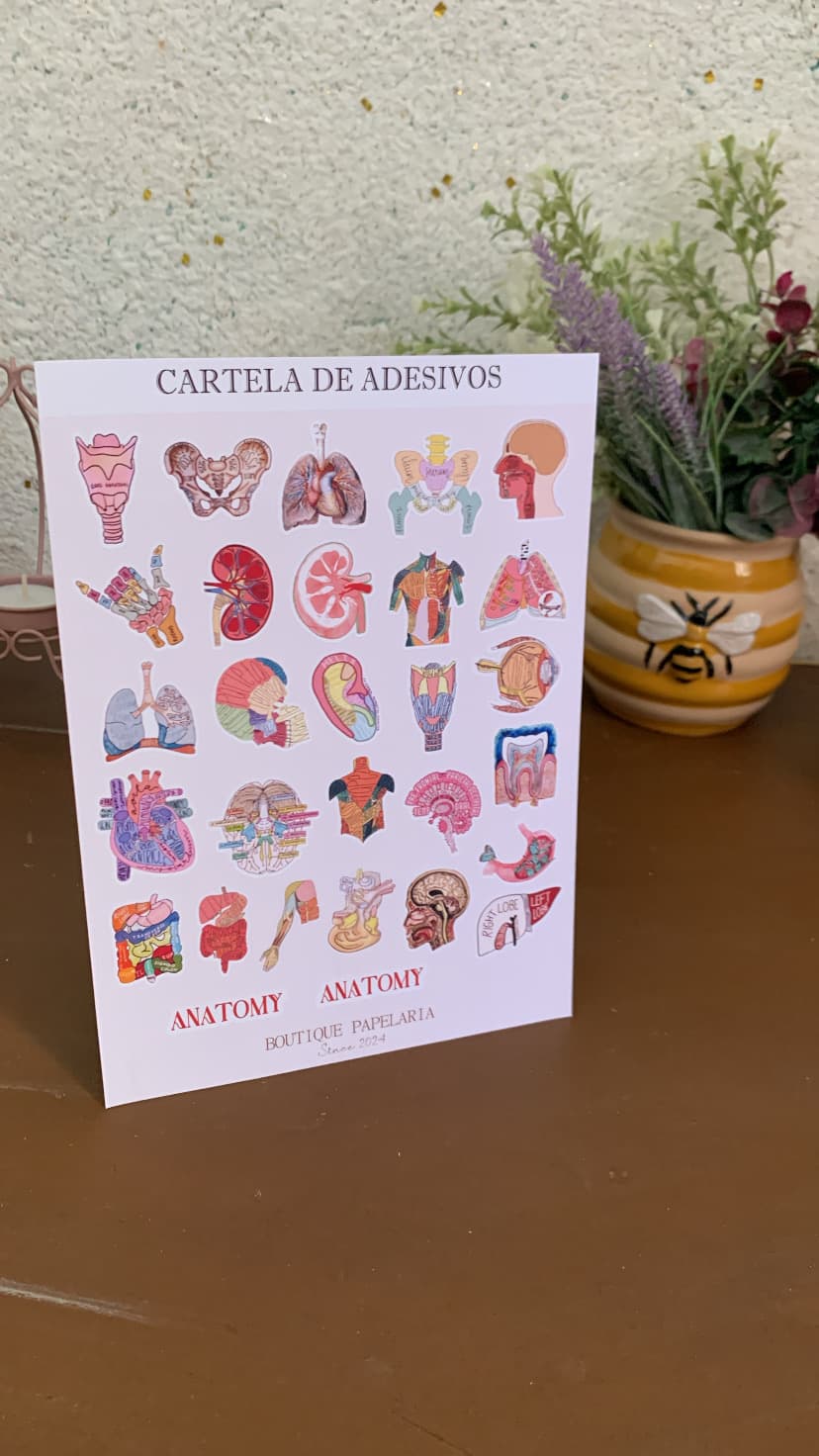 Cartela de Adesivos Anatomia