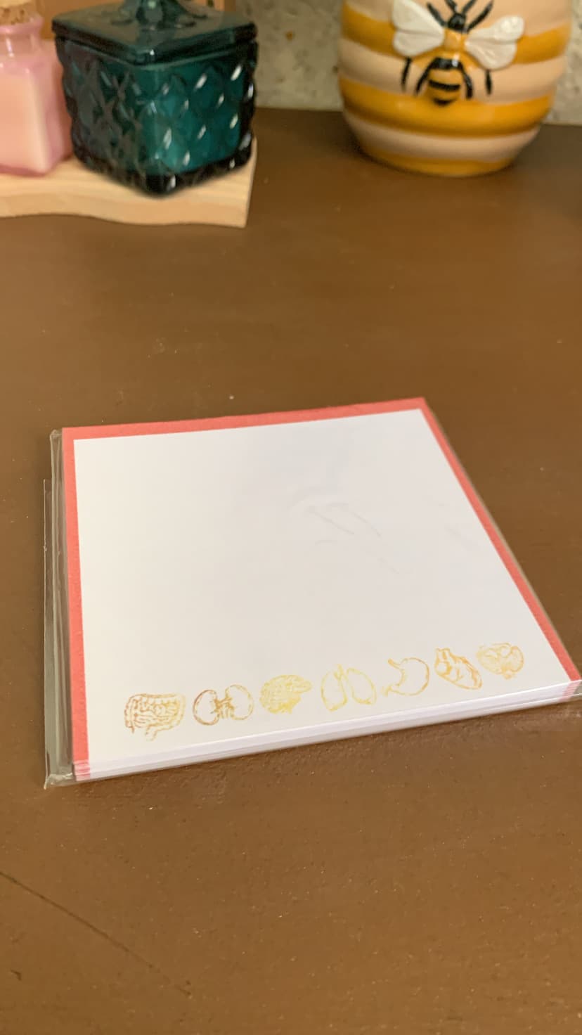 Bloco Autoadesivo Anatomia